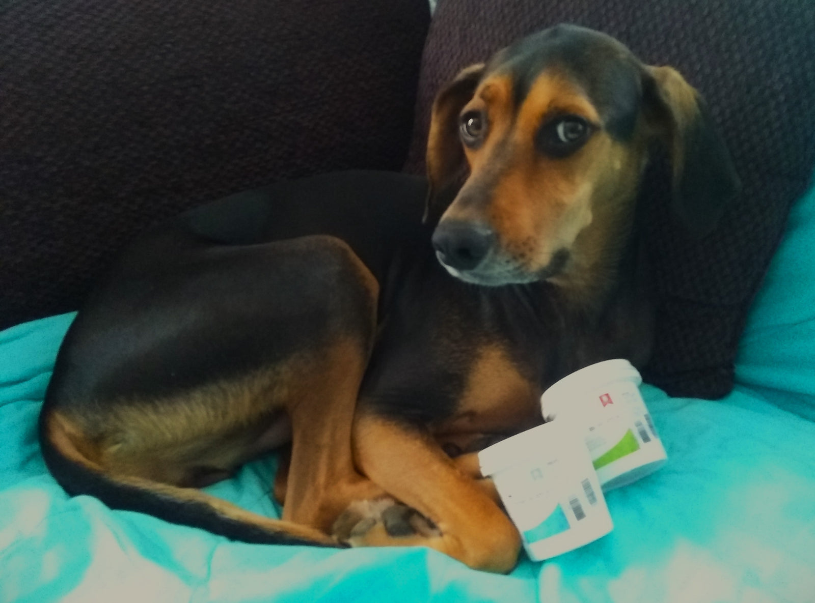 Super Bond Structural Epoxy