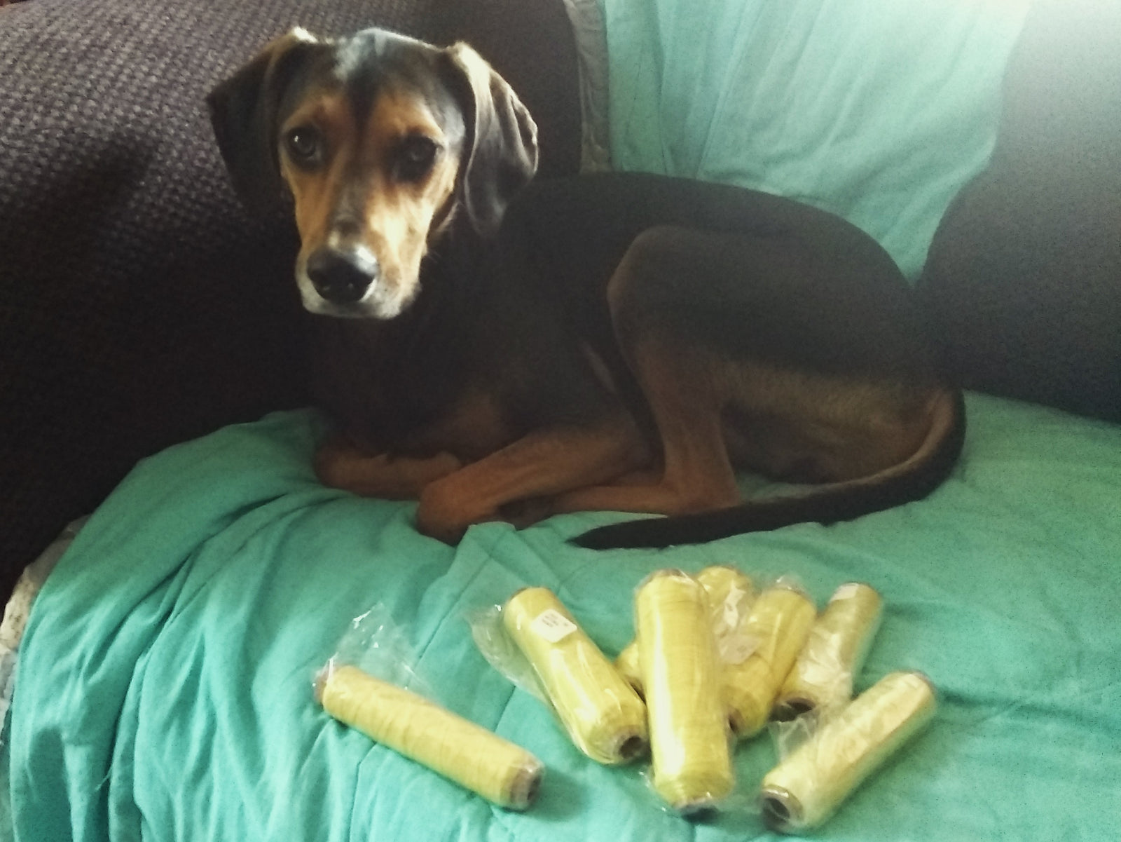 Kevlar Roving (2-yarn)